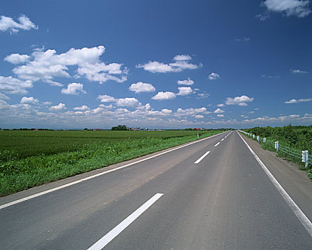 道路,绿色,平原