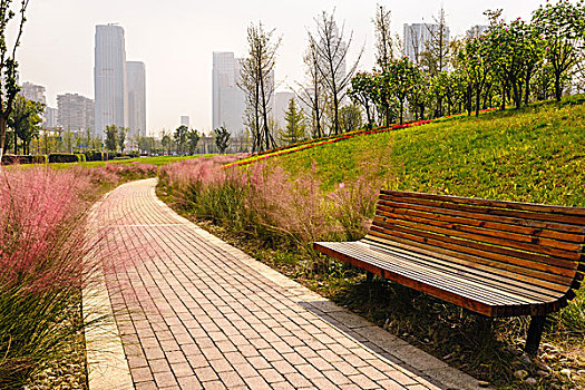 鋪滿鮮花的道路