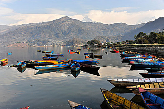 划艇,波卡拉,尼泊尔,亚洲
