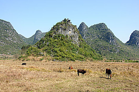 桂林喀斯特山景