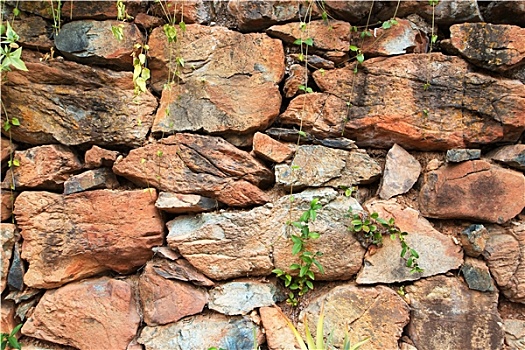 岩石墙,绿色植物