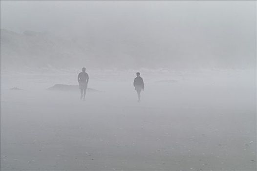 漫步,胜利,海滩,雾,新西兰