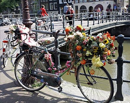 自行车,装饰,花,阿姆斯特丹,荷兰,欧洲