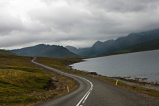 道路,弯曲,海岸,冰岛
