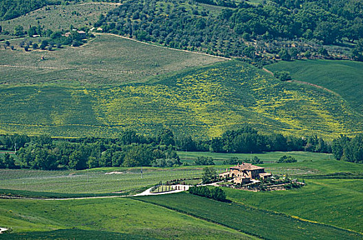 乡村,靠近,蒙蒂普尔查诺红葡萄酒,锡耶纳省,托斯卡纳,意大利