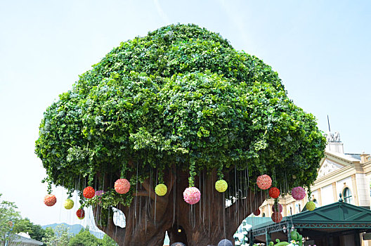 巨大的,花椰菜