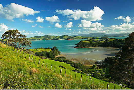 怀希基岛,新西兰