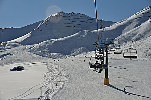 自然,冬季风景,树,初雪