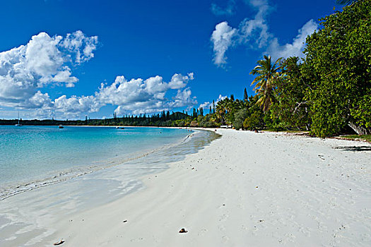 白沙滩,湾,新喀里多尼亚,南太平洋