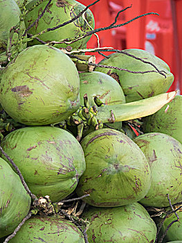 椰子,束,出售,伊帕内玛,里约热内卢,巴西