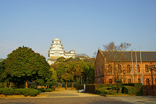 姬路城堡,春天,兵库,日本