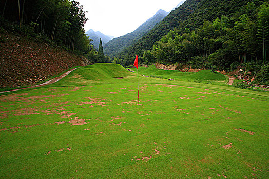 草地,绿色,山谷