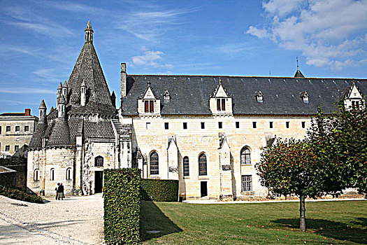 法国,曼恩-卢瓦尔省,安茹,皇家,教堂,罗马式,厨房,12世纪