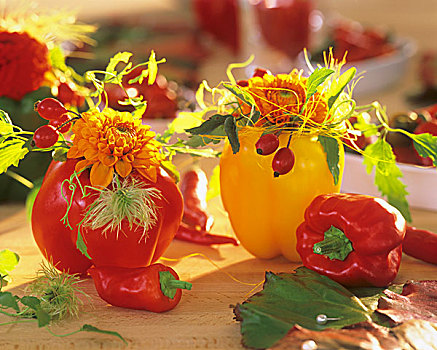 大丽花,野玫瑰果,红色,黄椒,花瓶