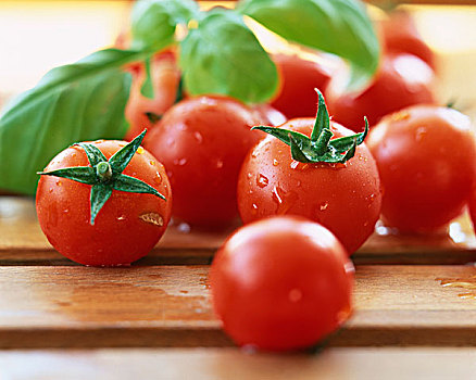 西红柿,罗勒叶