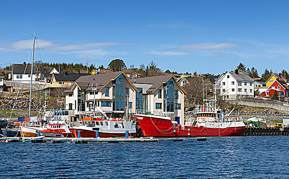 红色,白色,渔船,站立,停泊,挪威,乡村