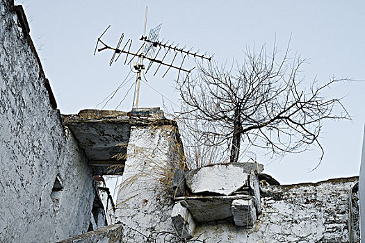 仰视,老,电视天线,枯木,屋顶,希腊