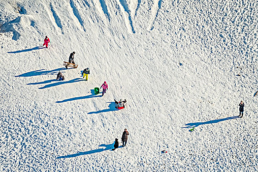 滑雪橇,斜坡,藻厄兰,北莱茵威斯特伐利亚,德国
