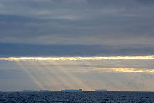 南极,黄昏,光线,发光,扁平,冰山