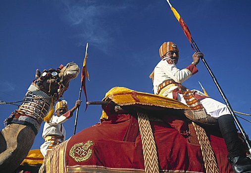 仪式,骆驼,斋沙默尔,拉贾斯坦邦,印度