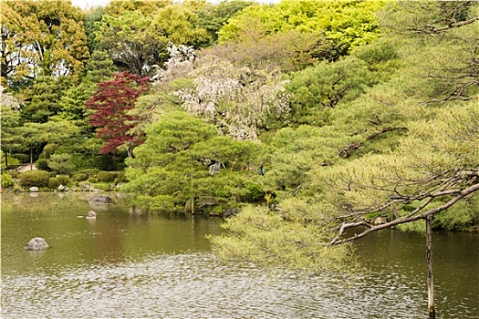 风景,日式庭园