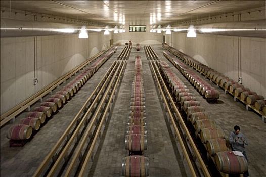 葡萄酒厂,葡萄牙,2007年