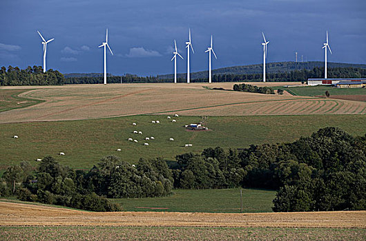 风,农场,靠近,洪斯吕克,区域,莱茵兰普法尔茨州,德国,欧洲