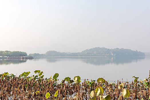 杭州西里湖秋景