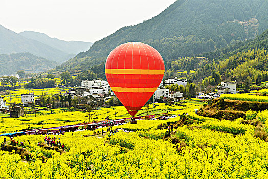 花海,热汽球,山村