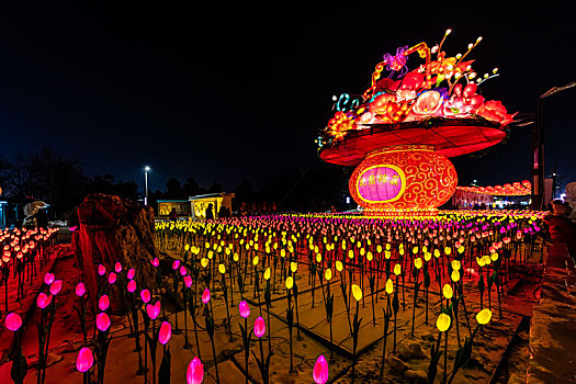 中国长春南湖公园冰雪灯光展夜景