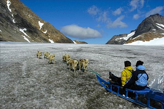 狗拉雪橇,团队,格陵兰,因纽特人,冰河,东方,北极