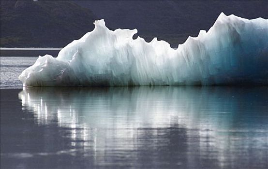 冰河,冰,阿拉斯加