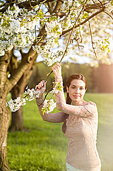 美女,花,樱桃树,注视,看镜头,半身像