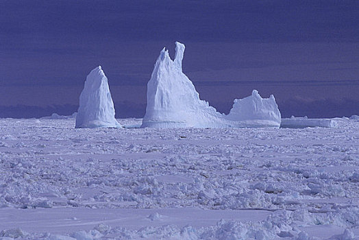 南极半岛,靠近,浮冰,冰山