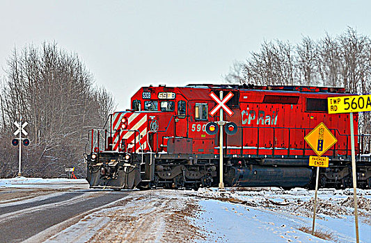 图像,引擎,货运列车,穿过,道路,平整,乡村,艾伯塔省,加拿大