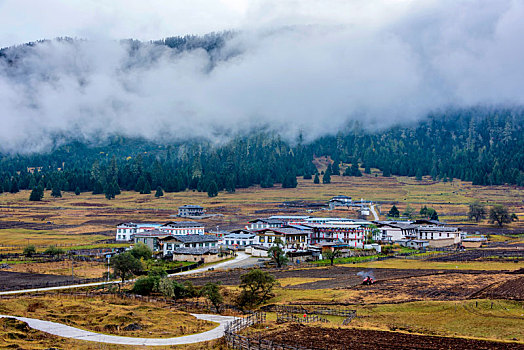 中国西藏林芝鲁朗扎西岗村秋景