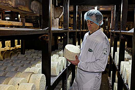 排,奶酪,成熟,地窖,羊乳干酪,阿韦龙省,法国,欧洲,限制