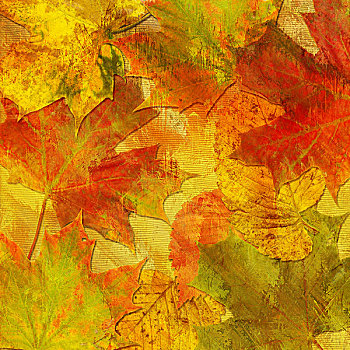 艺术,秋叶,背景,黄色,红色,绿色,褐色,彩色