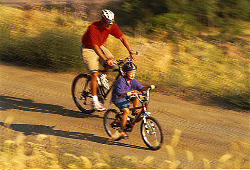 父子,骑,自行车,小路,金色,科罗拉多,美国