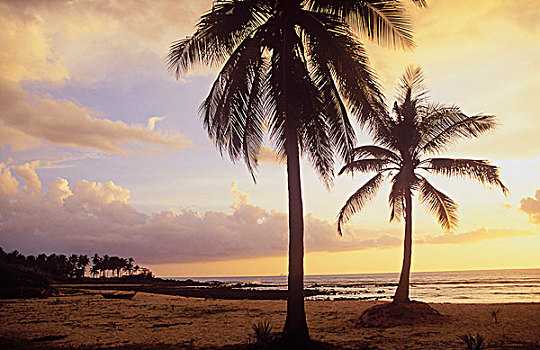 日落,棕榈海滩,放松,湾,岛屿,甲米,泰国,东南亚