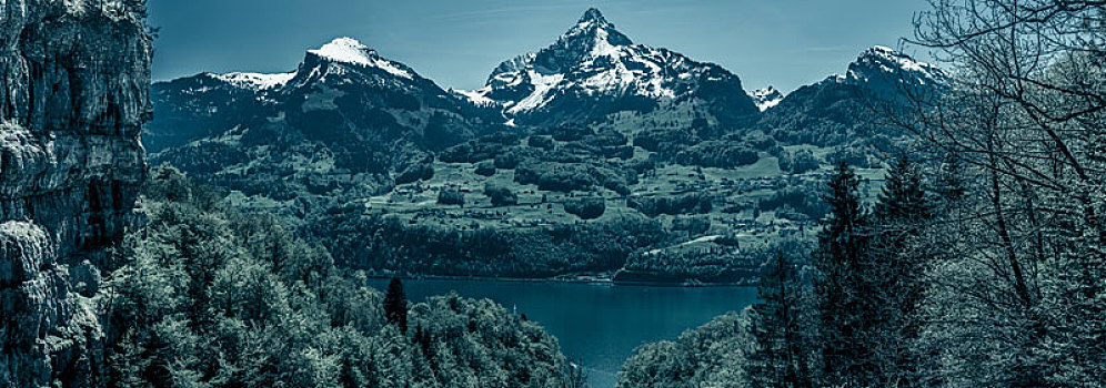 阴郁,全景,阿尔卑斯山,顶峰