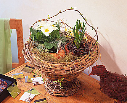 篮子,麝香兰,水仙花,樱草属植物