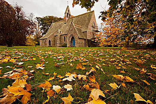落叶,草地,正面,教堂,诺森伯兰郡,英格兰