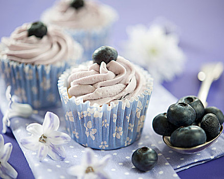 蓝莓,螺旋,杯形蛋糕