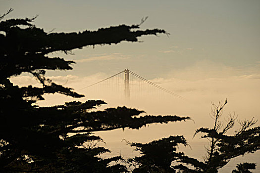 风景,金门大桥,围绕,雾,天空,旧金山,加利福尼亚,美国