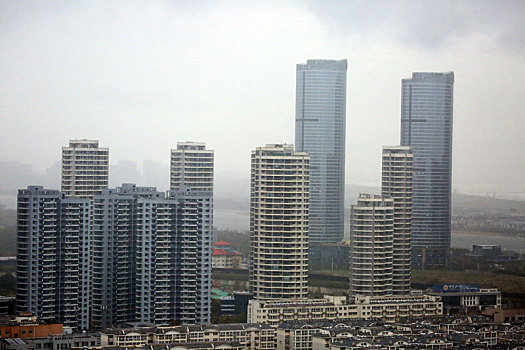 山东省日照市,立冬节气风雨交加,落叶缤纷铺满路面成靓丽风景,气象部门连续发布寒潮大风预警信号