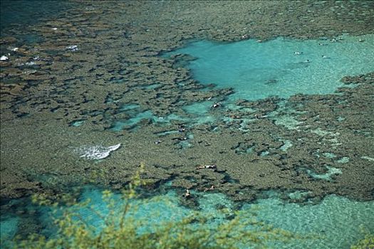 夏威夷,瓦胡岛,恐龙湾,礁石,水下呼吸管
