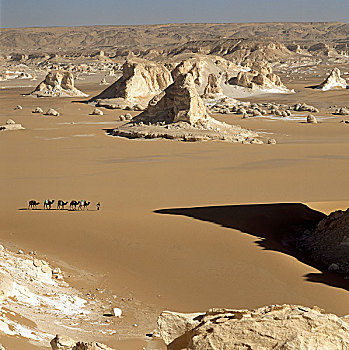 西部,埃及,白沙漠,侵蚀,骆驼,驼队