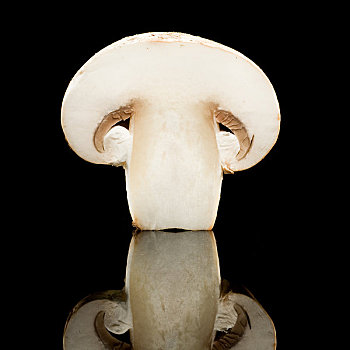 蘑菇,切片,反射