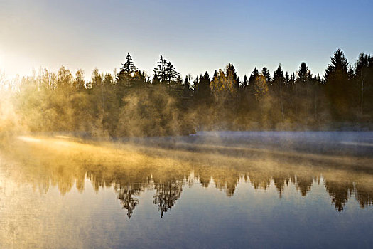 湖,木头,雾,太阳,亮光,光线,早晨,涂绘,气氛,黄色,蓝色